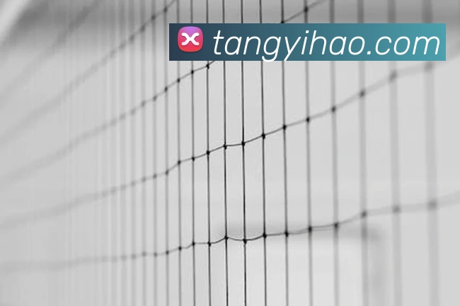 壹号国际APP 高清赛事图